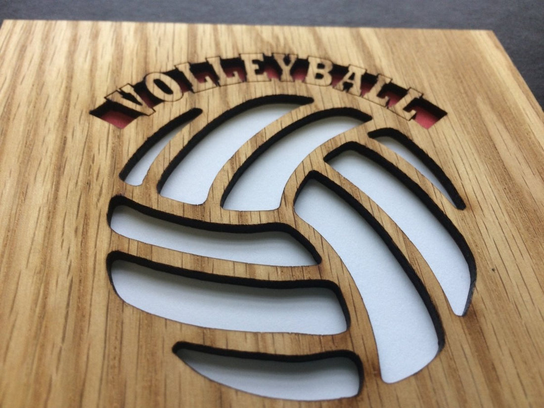 Volleyball Picture Frame